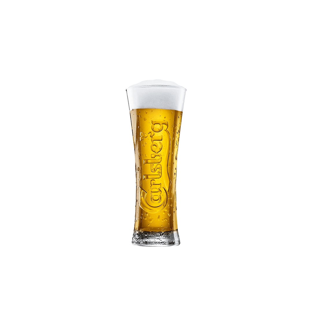 B CARLSBERG FICI 33CL